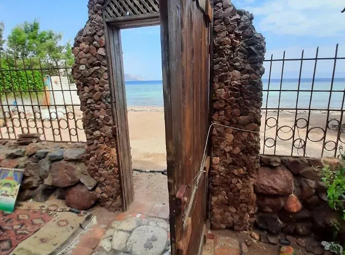 Apartman Shanty House